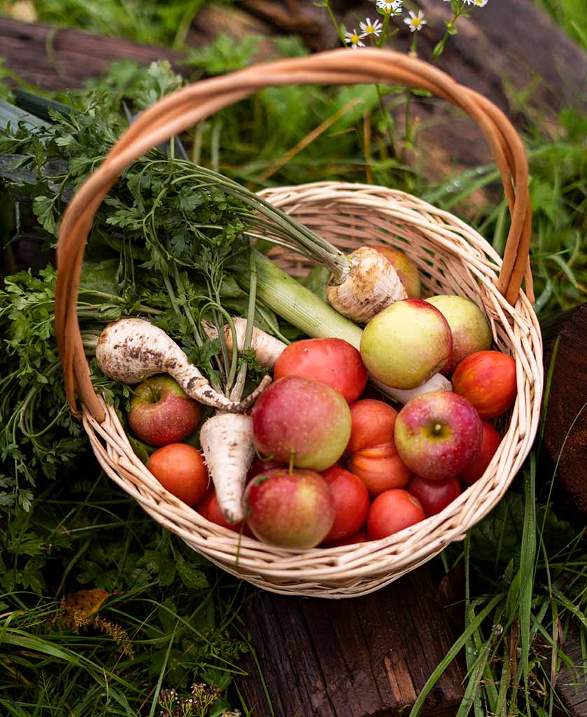 Panier en osier posé sur l'herbe, rempli de légumes frais et de fruits de saison, avec des pommes rouges et vertes, des tomates, des poireaux et des herbes aromatiques.